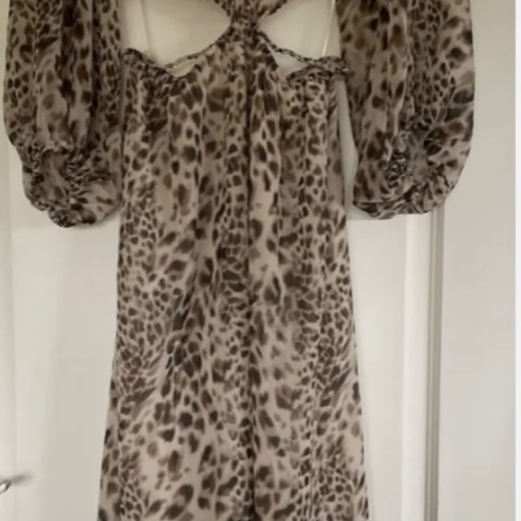 Zara animal print dress - Picture 2 of 4